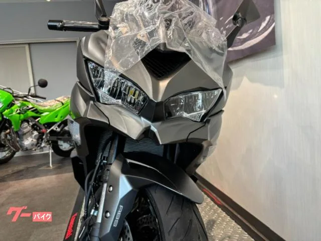 Kawasaki Ninja ZX-4R SE 2026 2026 — миниатюра 4