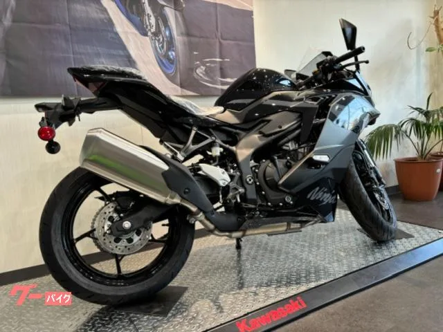 Kawasaki Ninja ZX-4R SE 2026 2026 — миниатюра 5