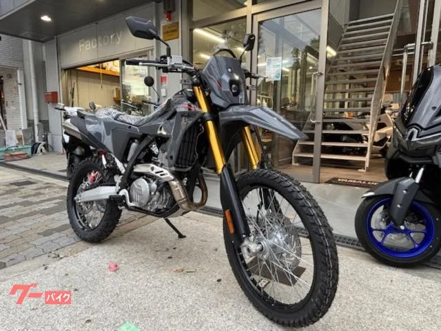 Suzuki DR-Z4S 2025NEW 2025 — миниатюра 3