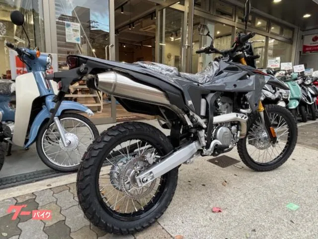Suzuki DR-Z4S 2025NEW 2025 — миниатюра 5