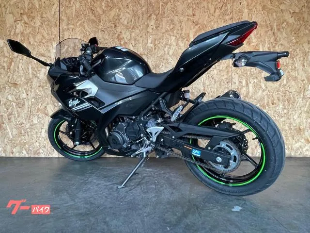 Kawasaki Ninja 250 LEDABS 2022 — миниатюра 3