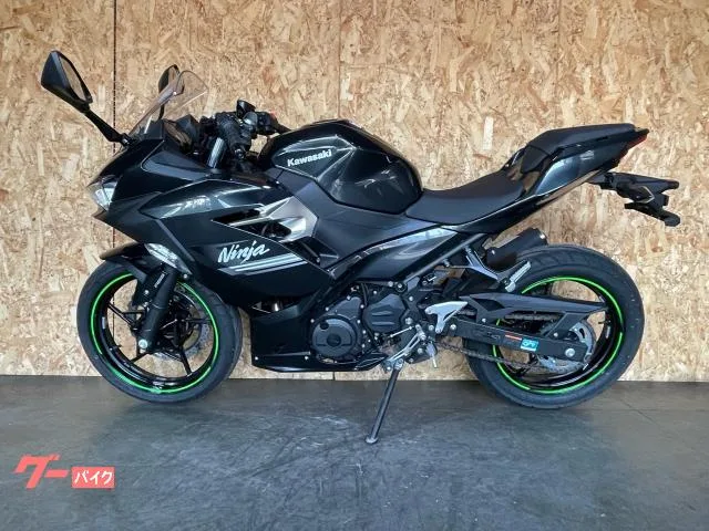 Kawasaki Ninja 250 LEDABS 2022 — миниатюра 5