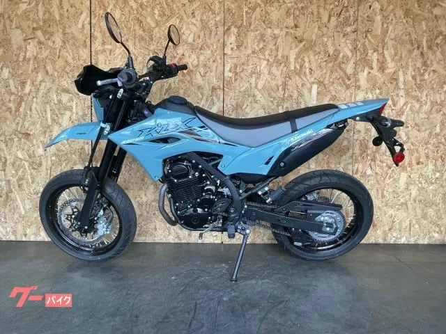 Kawasaki KLX230SM R99 2025 — миниатюра 5