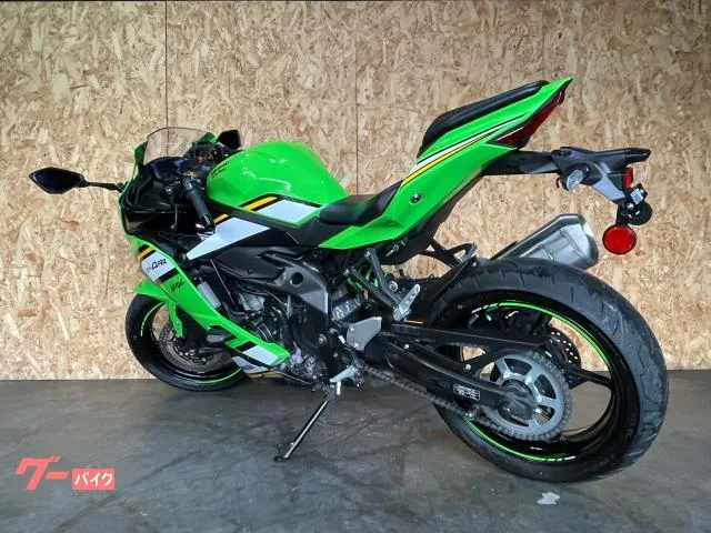 Kawasaki Ninja ZX-4RR KRT 2025 — миниатюра 3