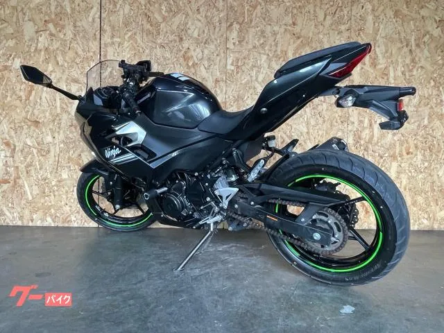 Kawasaki Ninja 250 2022 — миниатюра 3