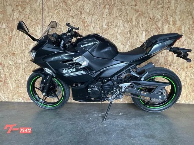 Kawasaki Ninja 250 2022 — миниатюра 5