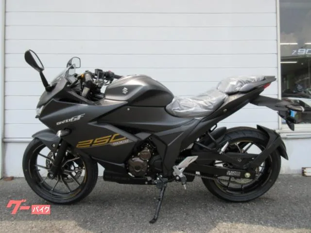 Suzuki GIXXER SF 250 2022 — миниатюра 2