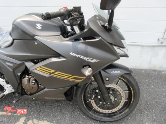 Suzuki GIXXER SF 250 2022 — миниатюра 4