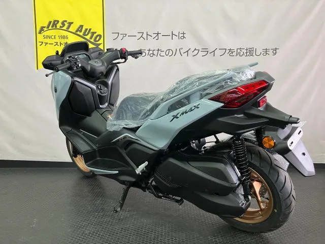 Yamaha X-MAX250 2025 — миниатюра 3