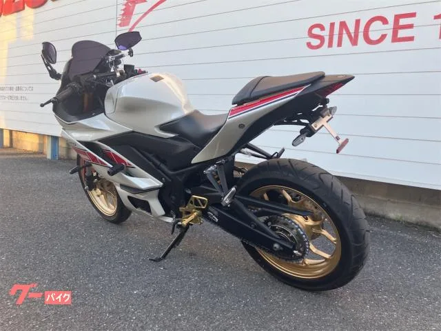 Yamaha YZF-R25 2022 — миниатюра 5