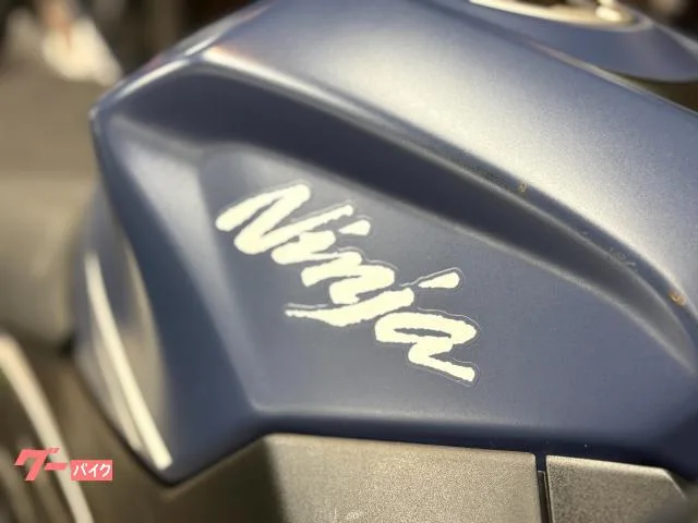 Kawasaki Ninja 400 ABS 2022 — миниатюра 4