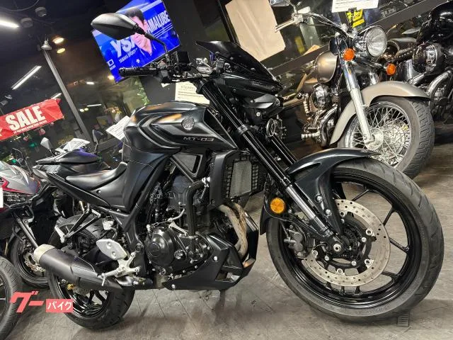 Yamaha MT-03(320cc) 2 ABS 2022 — миниатюра 2