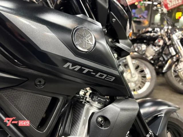 Yamaha MT-03(320cc) 2 ABS 2022 — миниатюра 4