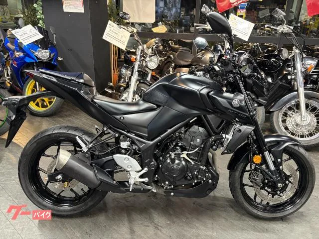 Yamaha MT-03(320cc) 2 ABS 2022 — фото 1, купить с доставкой в Москву