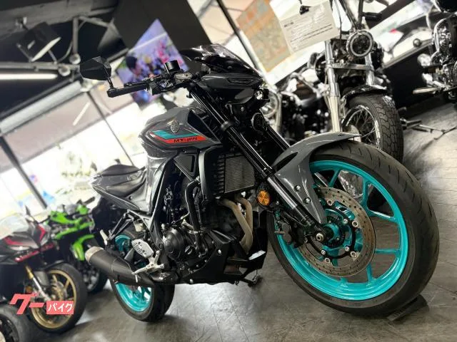 Yamaha MT-25 ETC 2022 — миниатюра 2