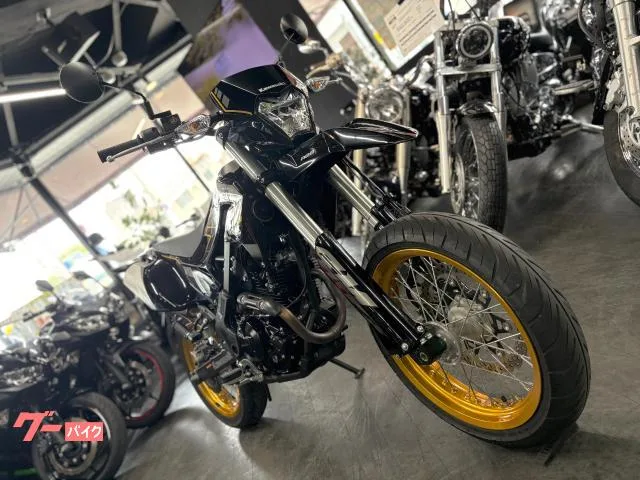 Kawasaki KLX230SM 2023 — миниатюра 2