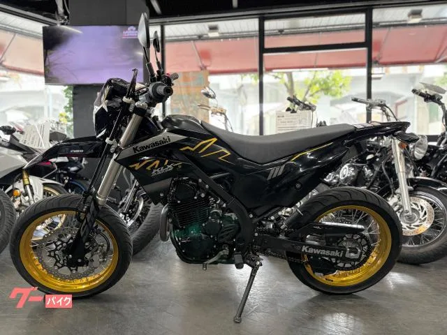 Kawasaki KLX230SM 2023 — миниатюра 3