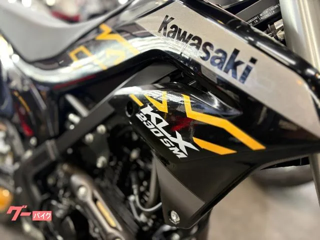 Kawasaki KLX230SM 2023 — миниатюра 4