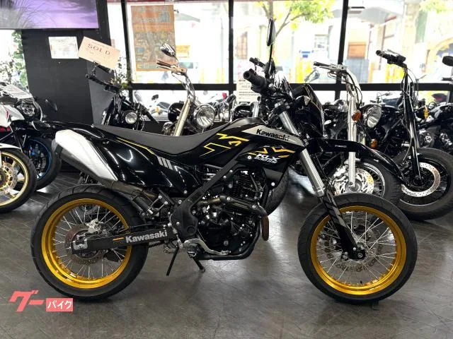 Kawasaki KLX230SM 2023 — фото 1, купить с доставкой в Москву
