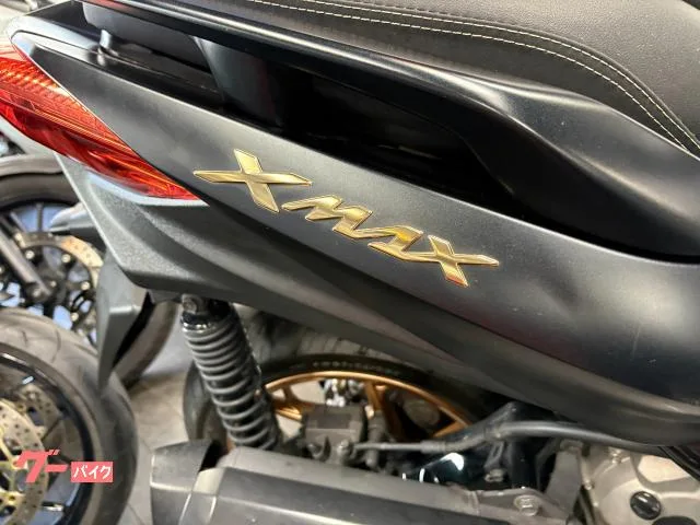 Yamaha X-MAX250 -- ETC 2022 — миниатюра 4