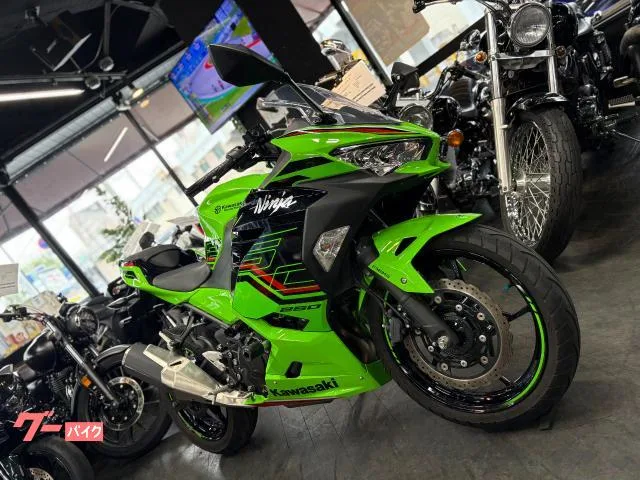 Kawasaki Ninja 250 KRT 2023 — миниатюра 2