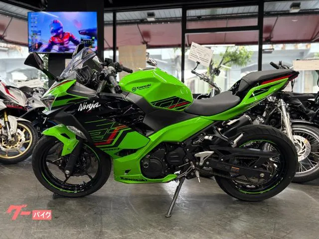 Kawasaki Ninja 250 KRT 2023 — миниатюра 3