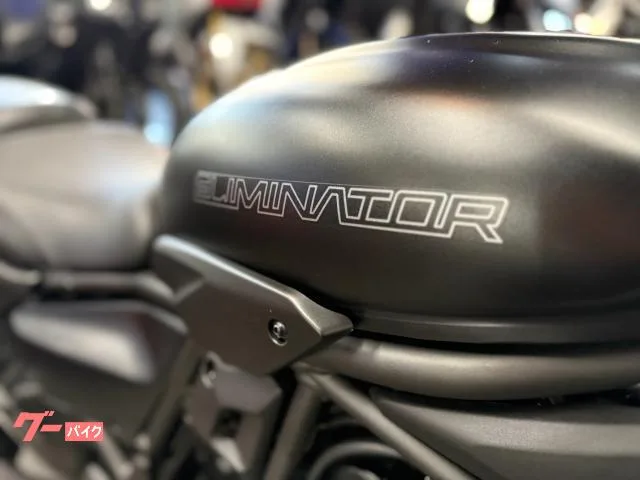 Kawasaki 400 ETC 2025 — миниатюра 4
