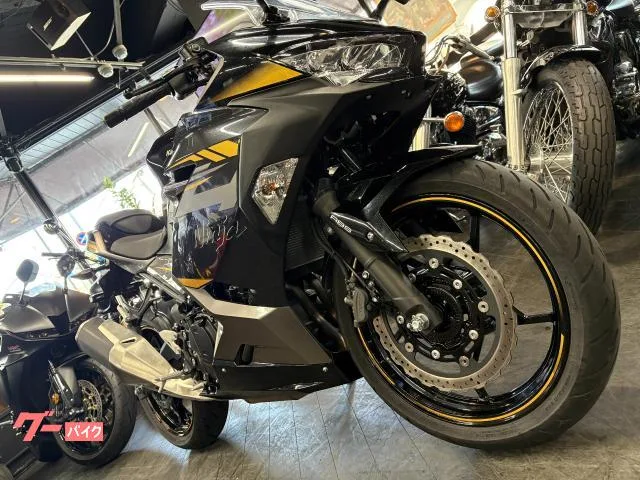 Kawasaki Ninja 400 2 2022 — миниатюра 2