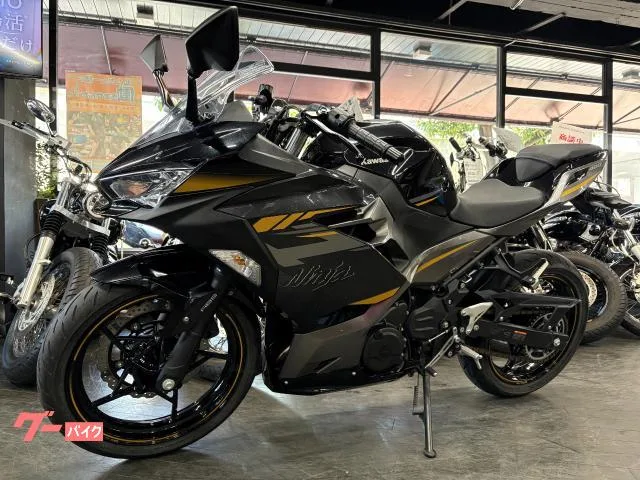Kawasaki Ninja 400 2 2022 — миниатюра 3
