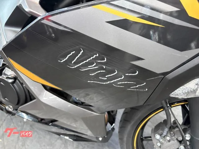 Kawasaki Ninja 400 2 2022 — миниатюра 4