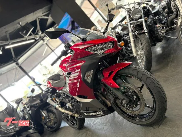 Kawasaki Ninja 250 2022 — миниатюра 2