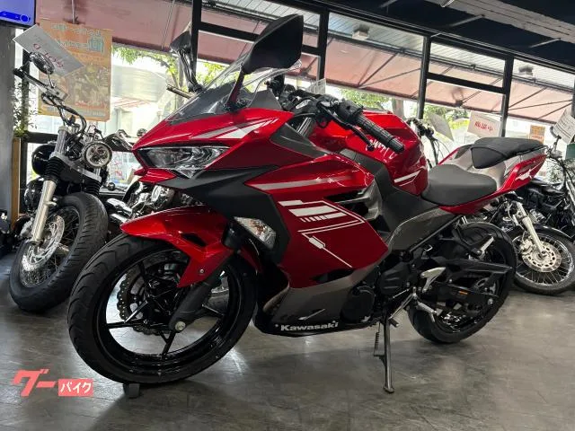 Kawasaki Ninja 250 2022 — миниатюра 3