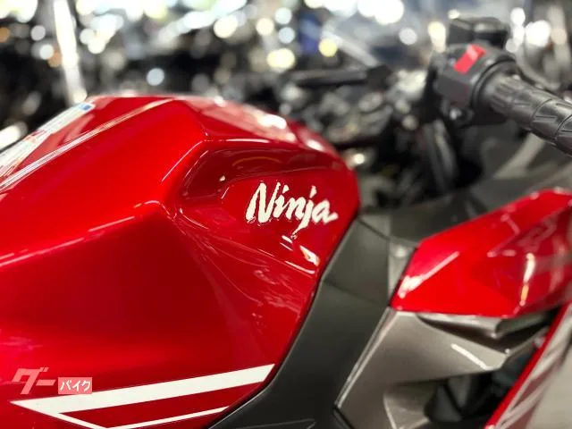Kawasaki Ninja 250 2022 — миниатюра 4