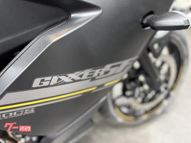 Suzuki GIXXER SF 250 2023 — миниатюра 4