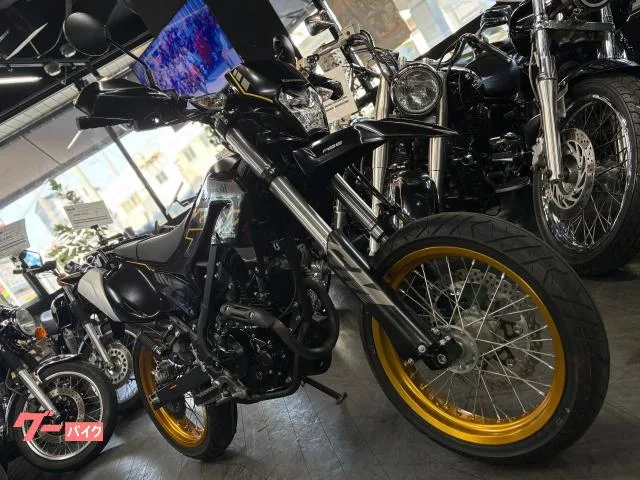Kawasaki KLX230SM 2023 — миниатюра 2