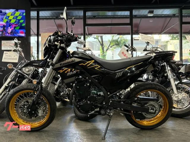 Kawasaki KLX230SM 2023 — миниатюра 3