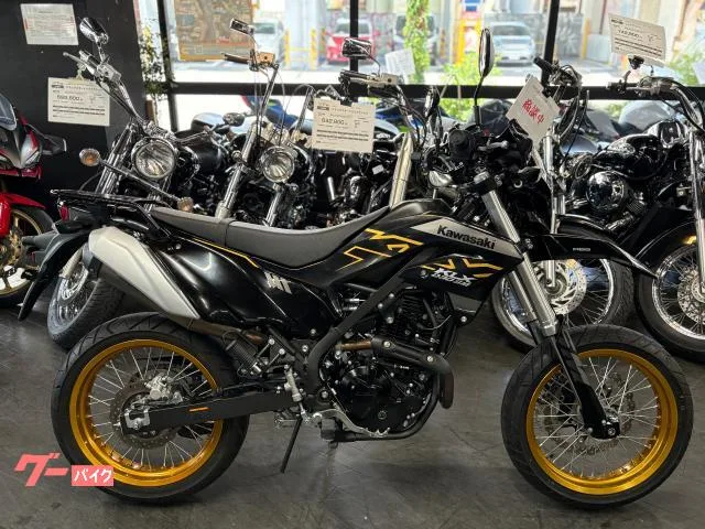 Kawasaki KLX230SM 2023 — фото 1, купить с доставкой в Москву