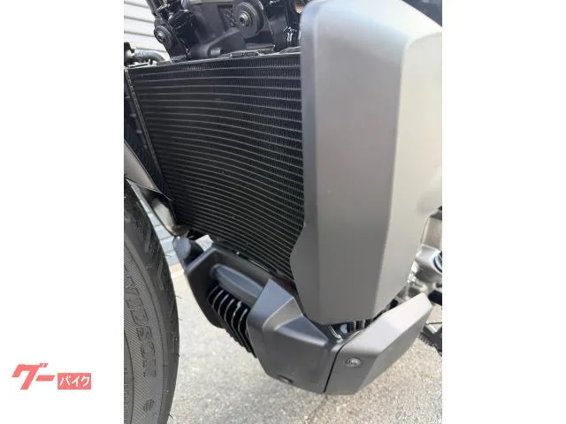 HARLEY-DAVIDSON RH975 2023 — миниатюра 3