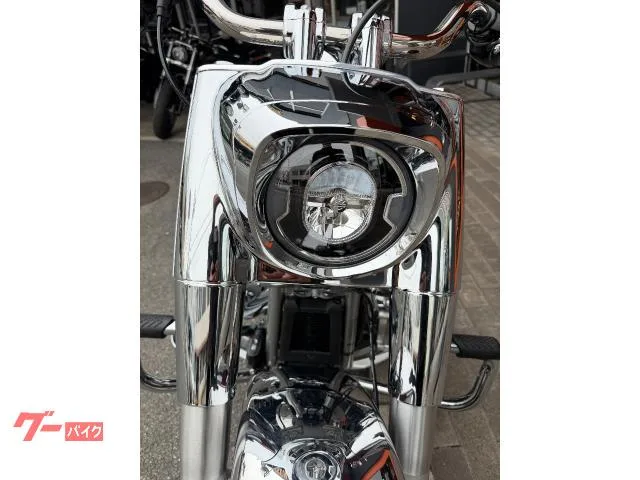 HARLEY-DAVIDSON FLSTFI 35 2025 — миниатюра 3