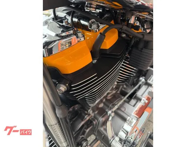 HARLEY-DAVIDSON FLSTFI 35 2025 — миниатюра 4