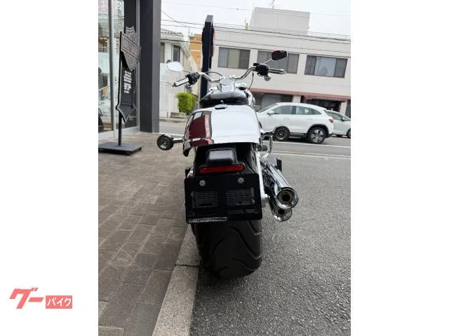 HARLEY-DAVIDSON FLSTFI 35 2025 — миниатюра 5