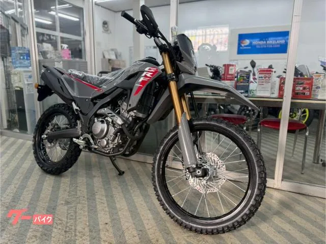 Honda CRF250L 2025 — миниатюра 3