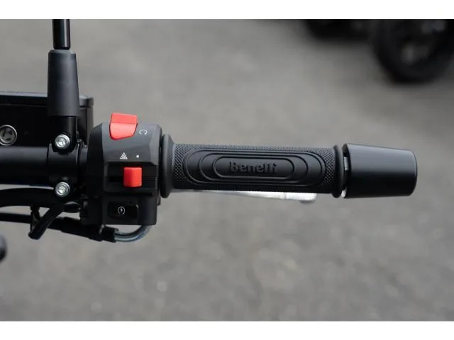 BENELLI 250 2023 — миниатюра 3