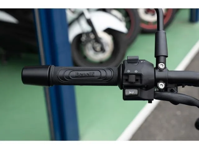BENELLI 250 2023 — миниатюра 5
