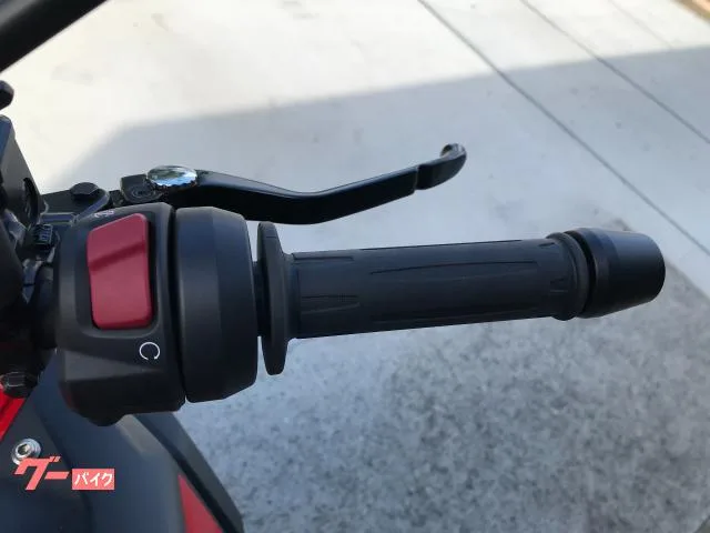 BMW G310GS ETC2.0 LED 2024 — миниатюра 5