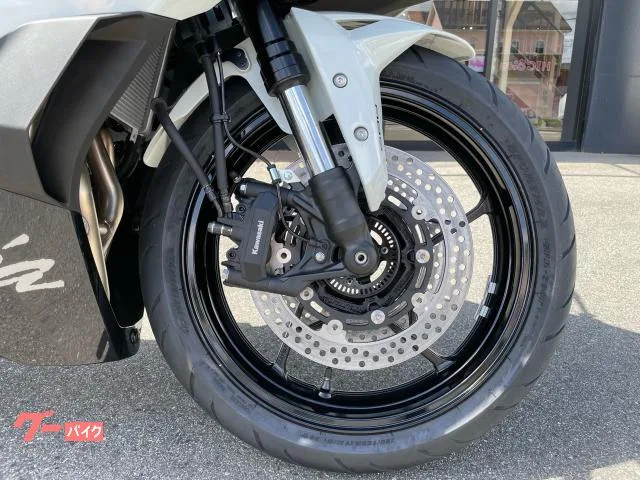 Kawasaki Ninja ZX-4R SE 3 2026 — миниатюра 4