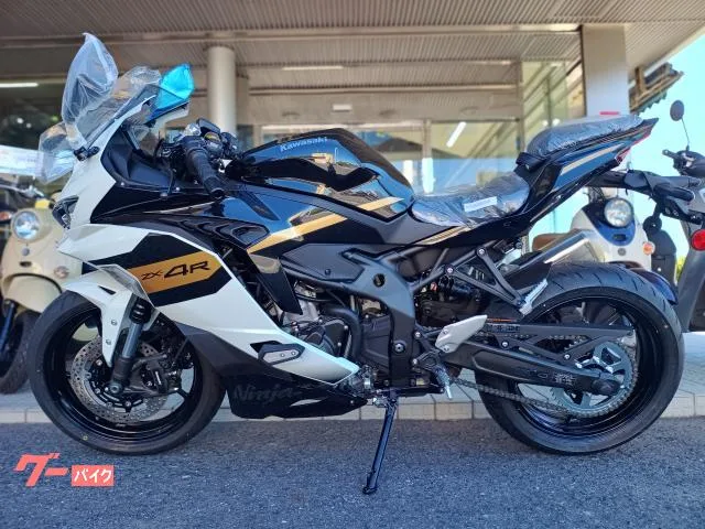 Kawasaki Ninja ZX-4R SE x 2026 — миниатюра 2
