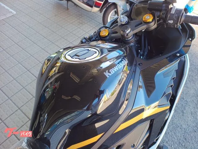 Kawasaki Ninja ZX-4R SE x 2026 — миниатюра 4
