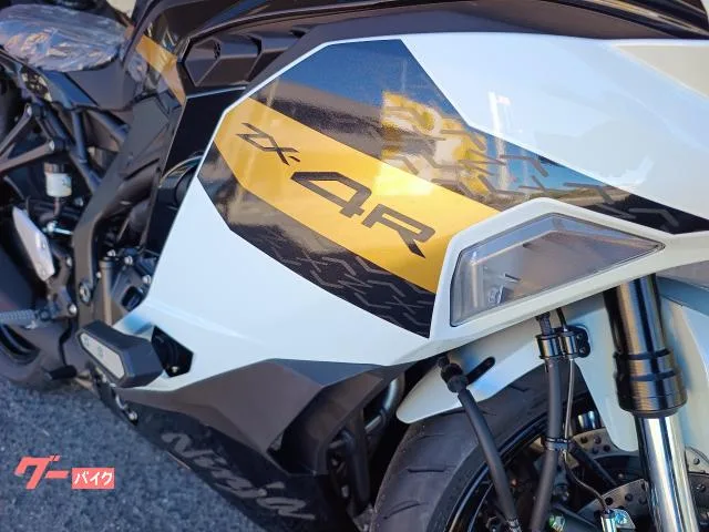Kawasaki Ninja ZX-4R SE x 2026 — миниатюра 5