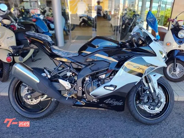 Kawasaki Ninja ZX-4R SE x 2026 — фото 1, купить с доставкой в Москву